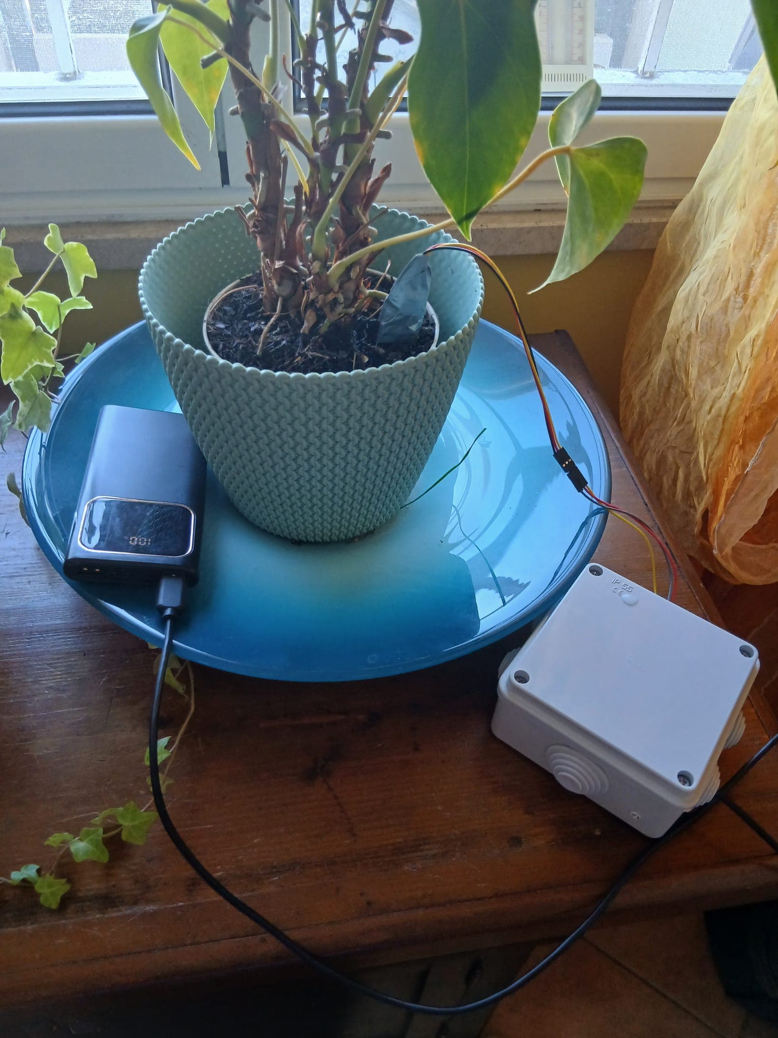 Wemos Soil-Moisture Sensor: from Wiring to ThingSpeak